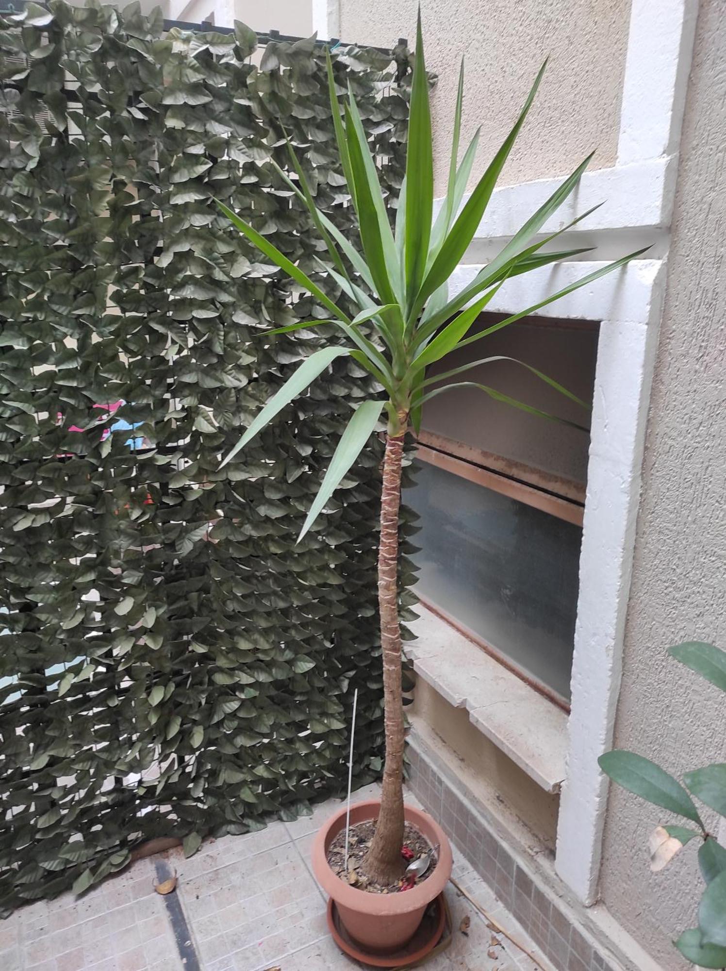 シラクーサCasa Bacchilideアパートメント エクステリア 写真